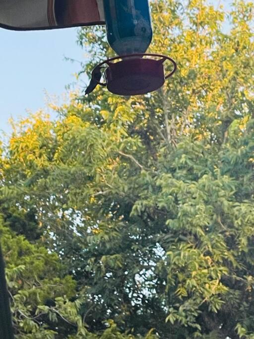 Bastrop Tiny Disc Golf Retreat Villa ภายนอก รูปภาพ