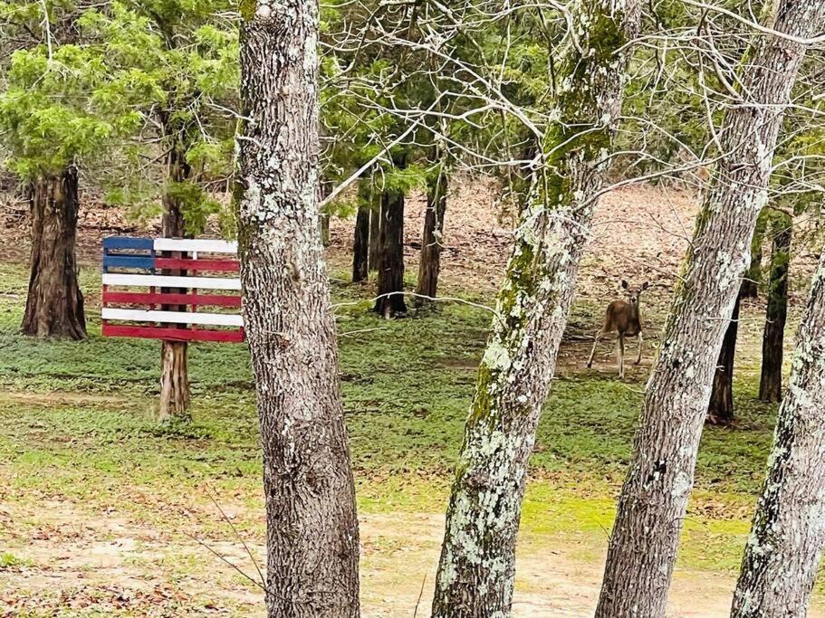 Bastrop Tiny Disc Golf Retreat Villa ภายนอก รูปภาพ